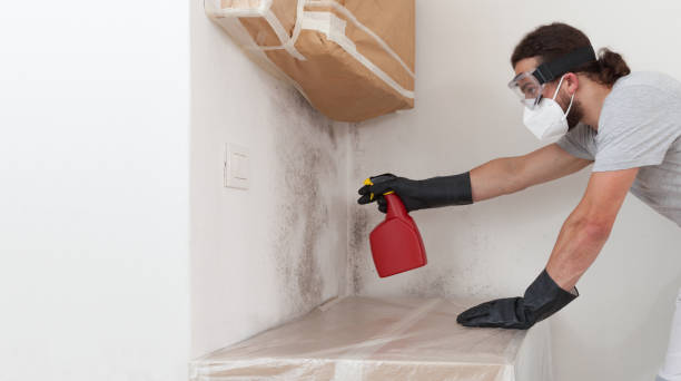 Professional Crawl Space Mold Remediation technician working in Freeport, IL