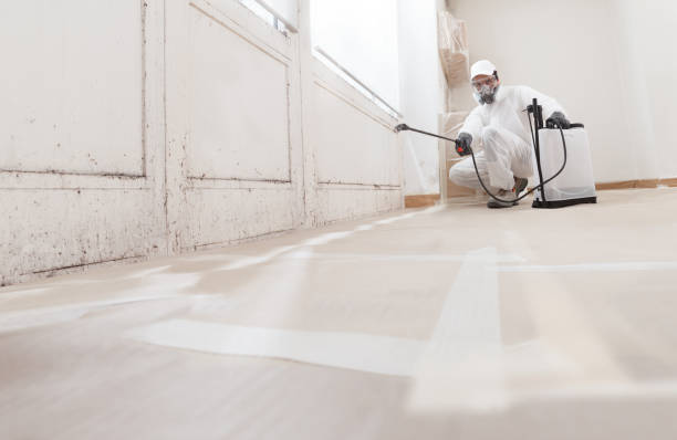 24/7 Emergency Crawl Space Mold Remediation experts in Freeport, IL